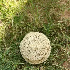 Tera Green Comex - Bhuj